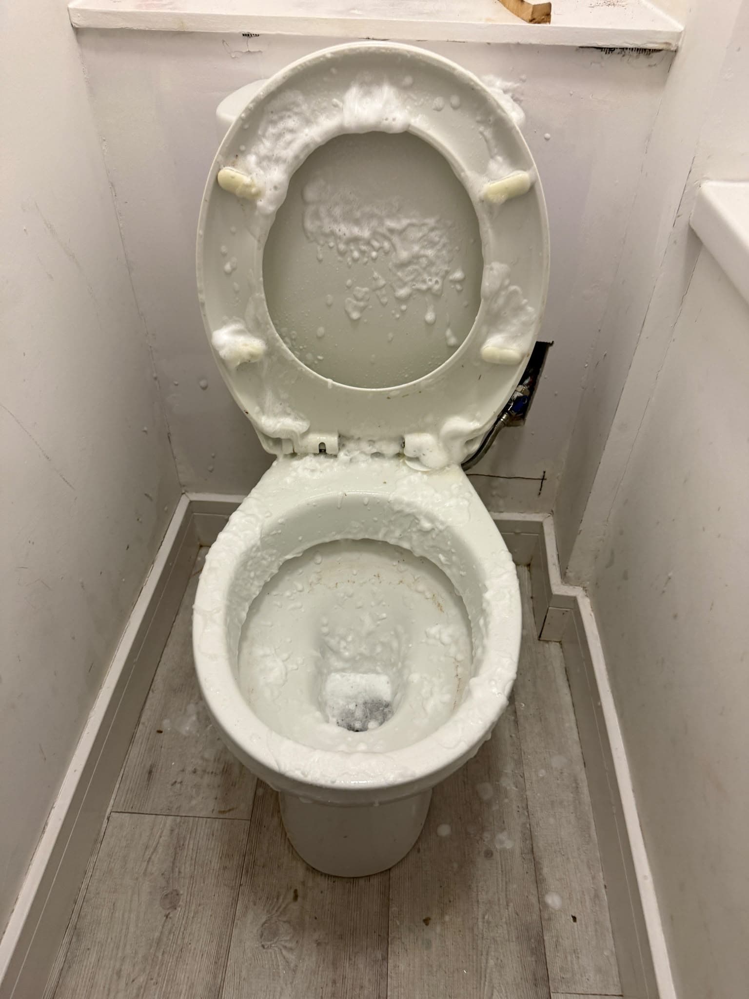 A toilet bowl and seat covered in white foam cleaning product in a small bathroom cubicle.