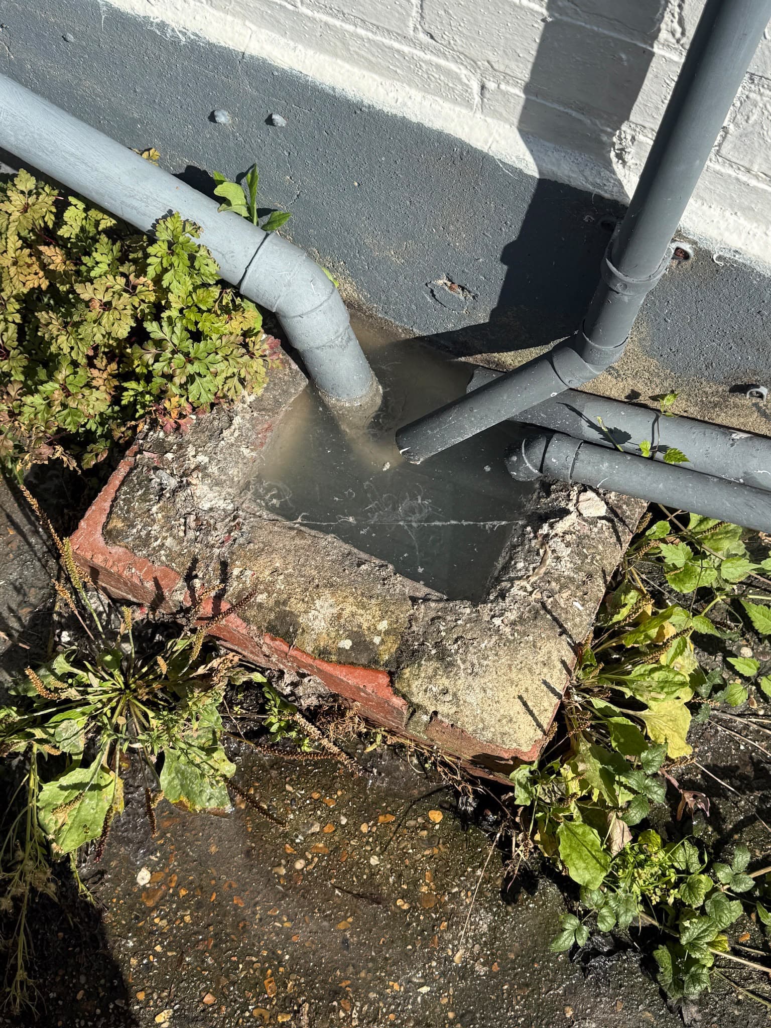 Drainage pipes discharging murky water into a small brick and concrete gully surrounded by weeds against a building wall